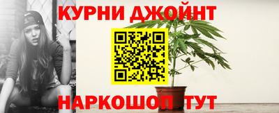 гашик Обь
