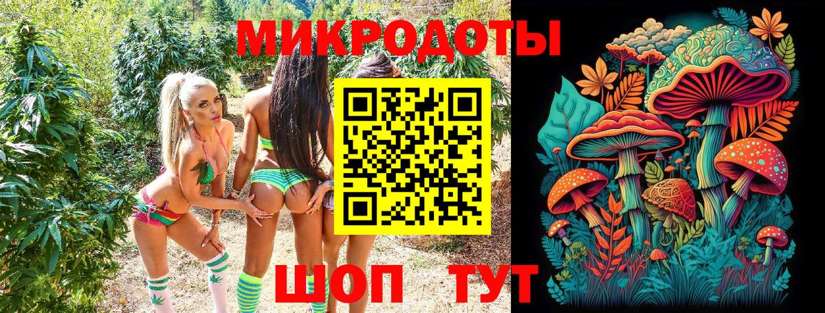 Галлюциногенные грибы ЛСД Северск