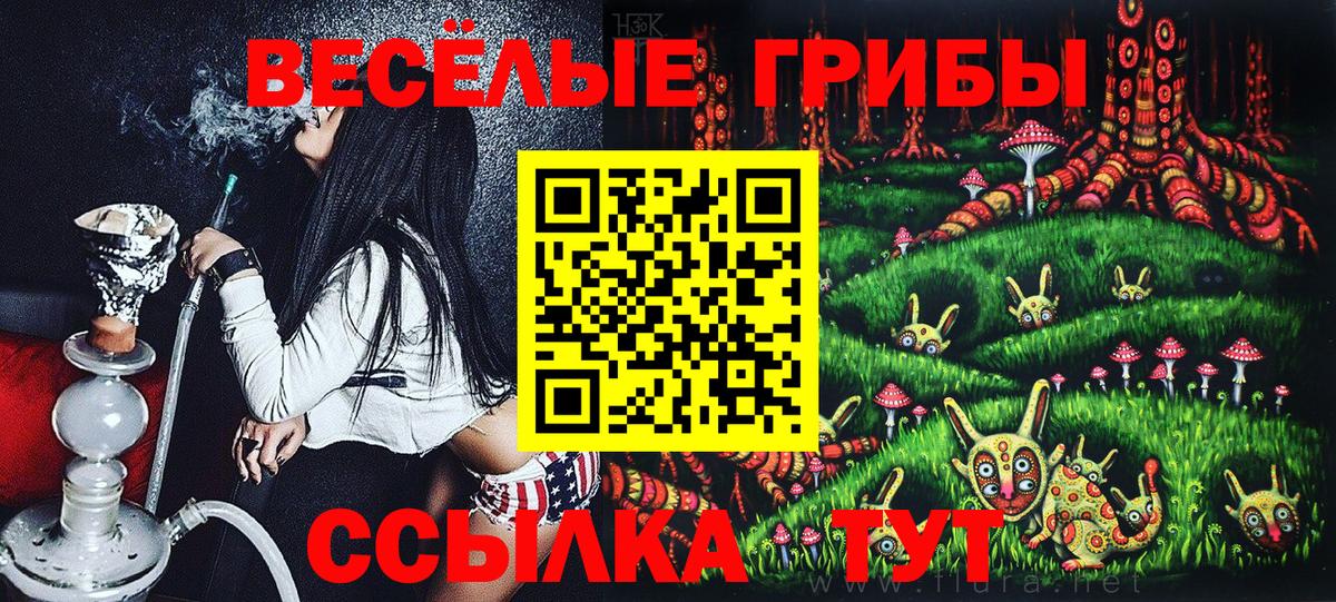 Галлюциногенные грибы Magic Shrooms  как найти   Северск  Вход с VPN 